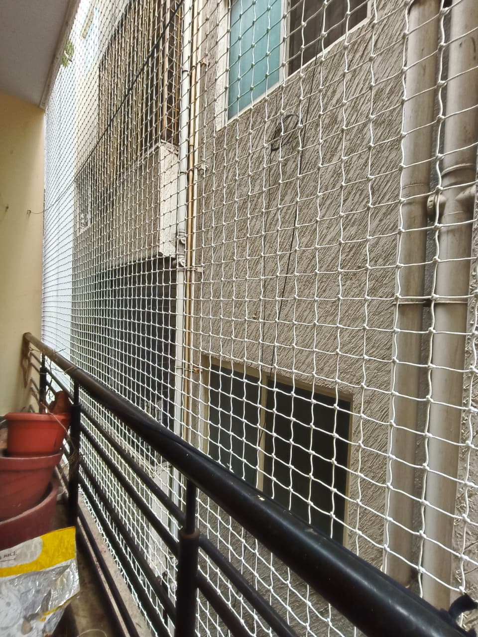 Clean window with pigeon net