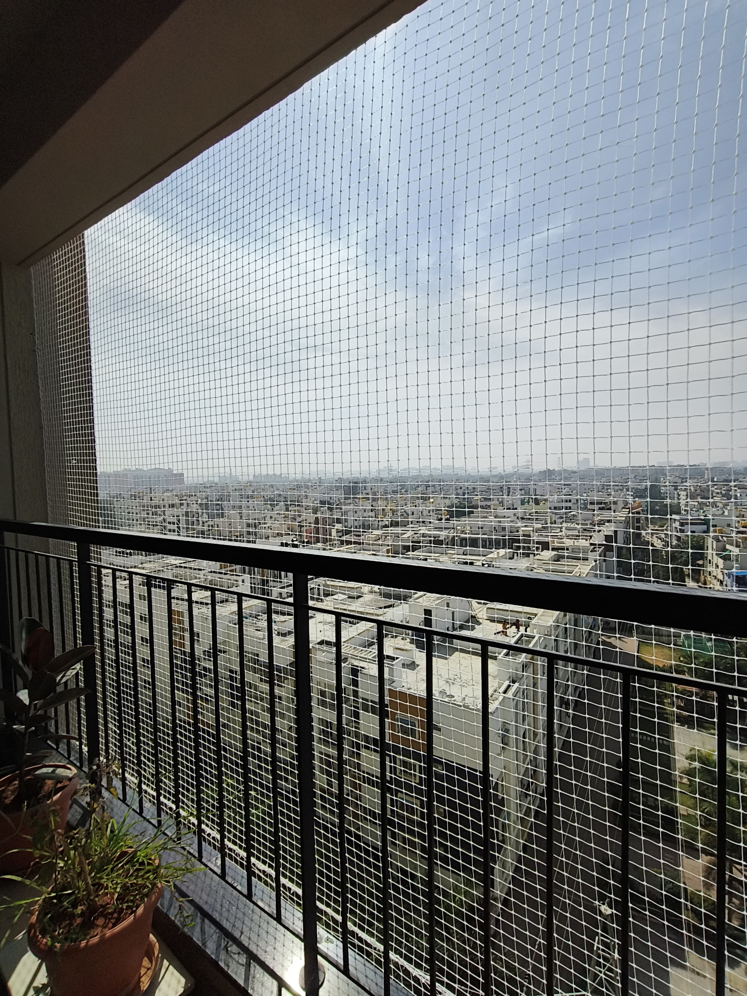 Pigeon Safety Nets in Bangalore
